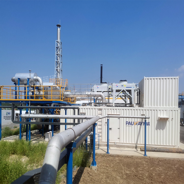 萬純SCR脫硝系統-餐廚垃圾沼氣發電機組脫硝工程