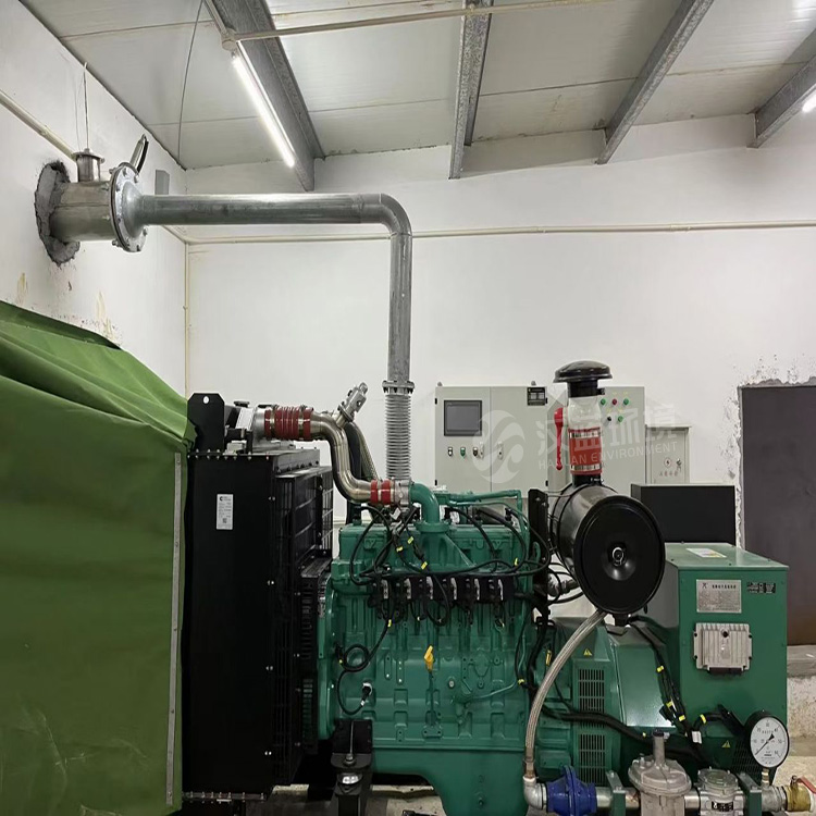 萬純SCR脫硝系統-糞肥沼氣發電機組脫硝 萬純SCR脫硝系統-糞肥沼氣發電機組脫硝