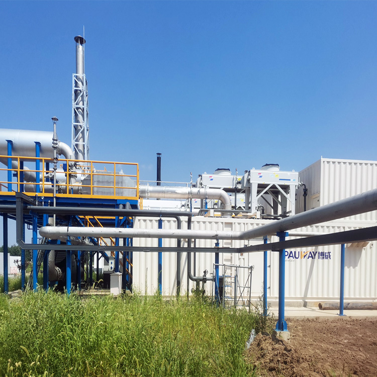 萬純SCR脫硝工程-沼氣機組脫硝