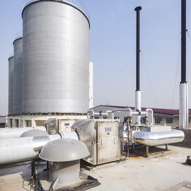 萬純系列煙氣凈化設備-沼氣發(fā)電機組脫硝系統(tǒng)